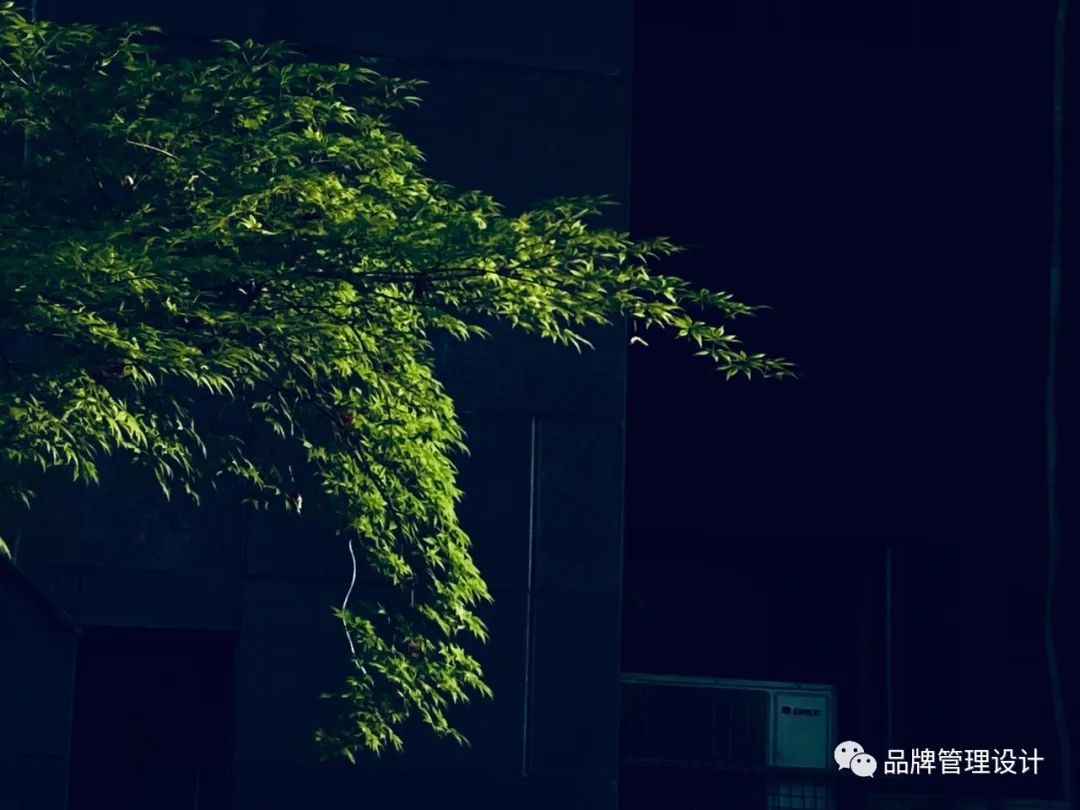 1683612030338909.jpg q3.jpg